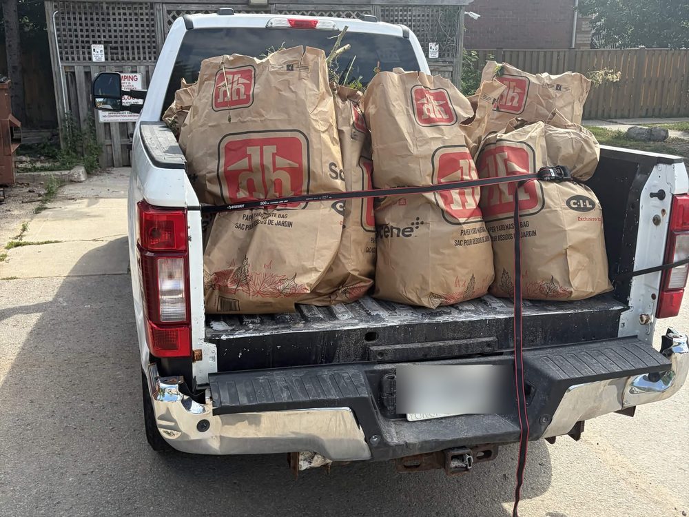Fall Cleanup