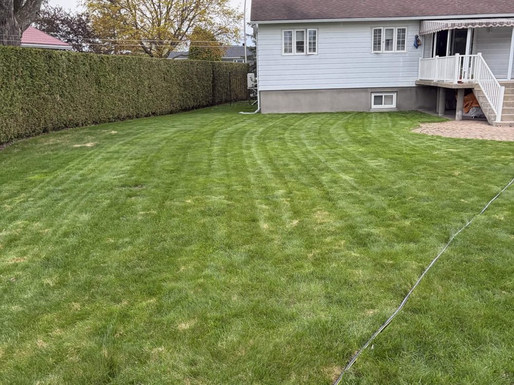 Lawn Care