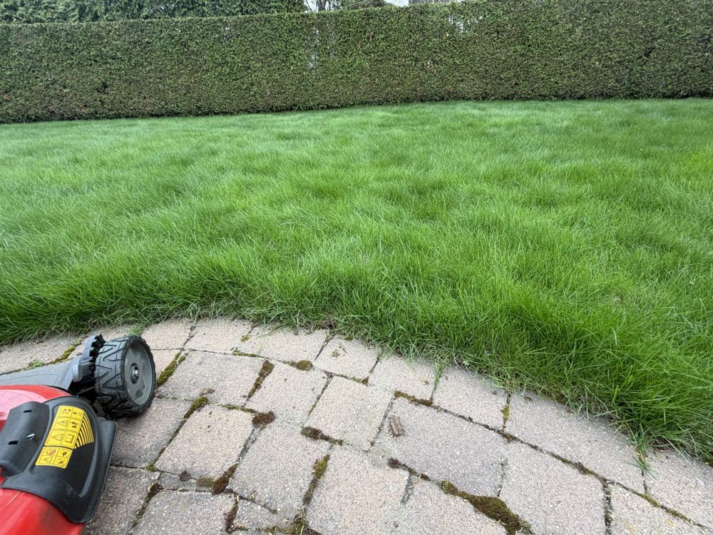 Paver walkway with fresh lawn