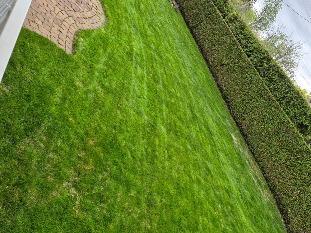 Lush striped lawn